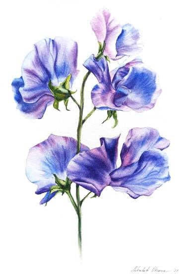 Original Fine Art Floral Paintings by Oksana Shkrebets