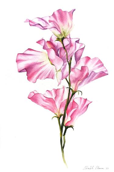 Original Fine Art Floral Paintings by Oksana Shkrebets