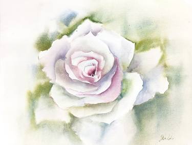 White rose, watercolor flower painting thumb