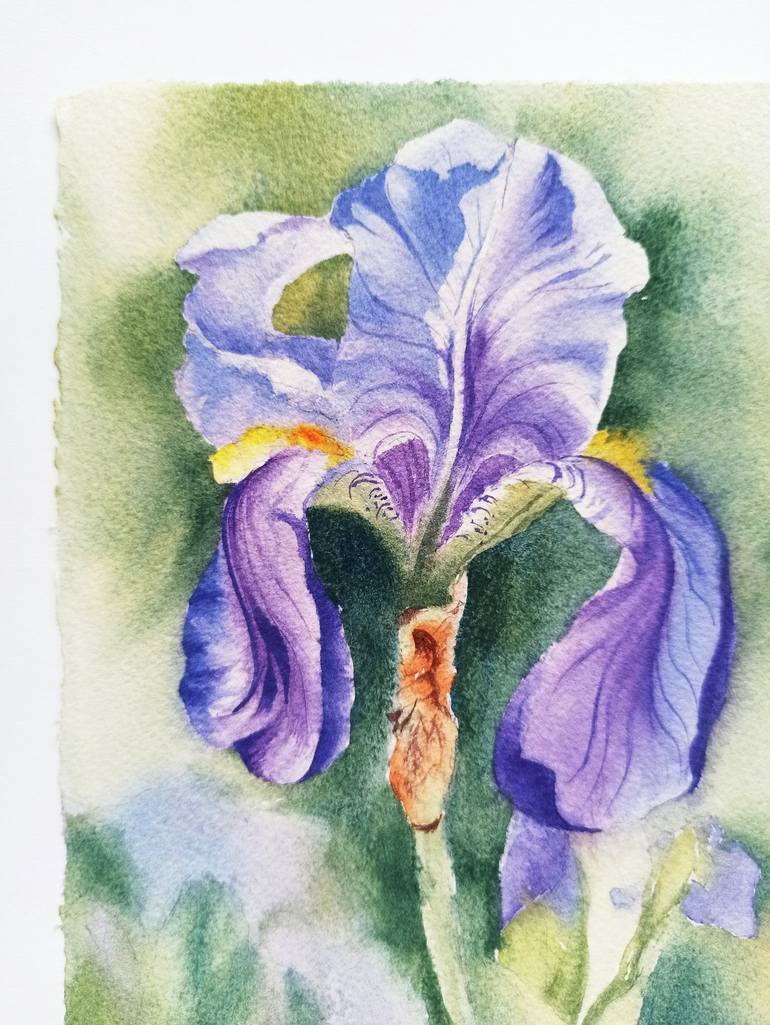 Blue-purple iris Painting by Oksana Shkrebets | Saatchi Art