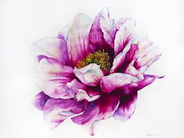 Original Floral Paintings by Oksana Shkrebets