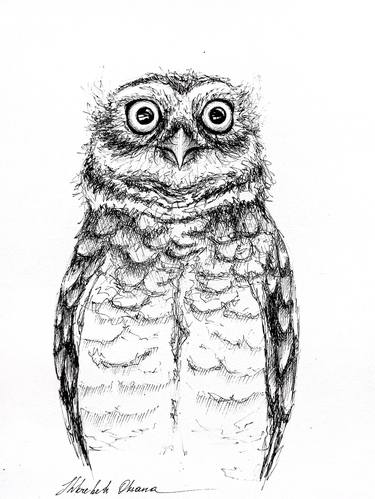 Original Animal Drawings by Oksana Shkrebets