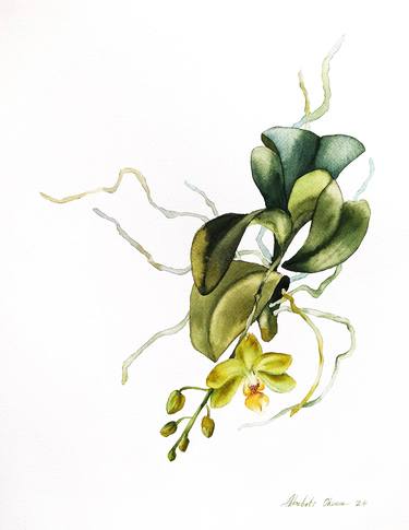 My orchid #1 - Yellow orchid original watercolor painting thumb