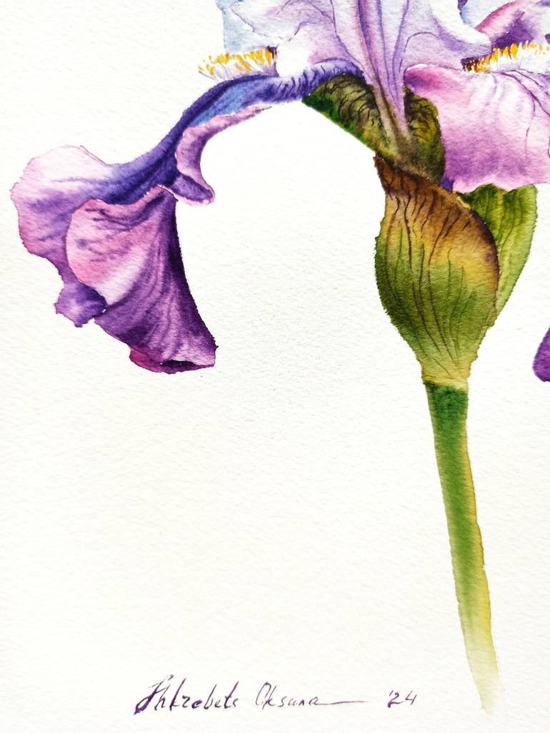 Original Contemporary Floral Painting by Oksana Shkrebets