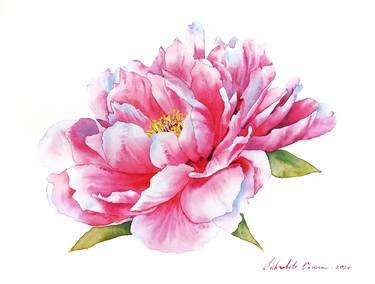 Original Fine Art Floral Paintings by Oksana Shkrebets