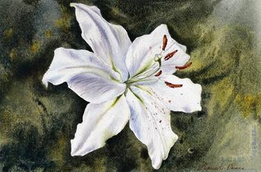White lily - original watercolor flower painting thumb