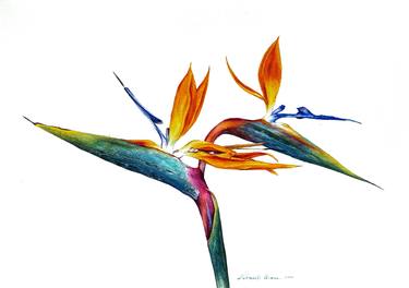 Original Contemporary Floral Paintings by Oksana Shkrebets