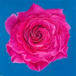 Collection Magic, Mischief & Mayhem