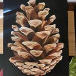 Pine Geometry by Susan Whigham