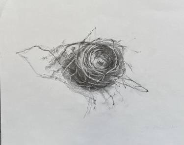 Nest thumb