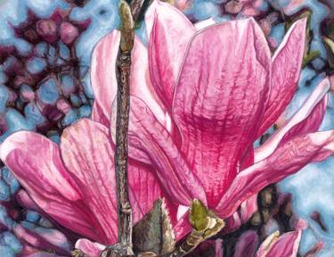 Original Floral Drawings by Melissa Tobia
