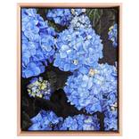 Into the Blue, Hydrangeas by Zoe Webb