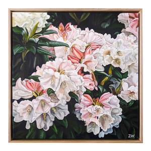 Percy's Pinks, Rhododendrons