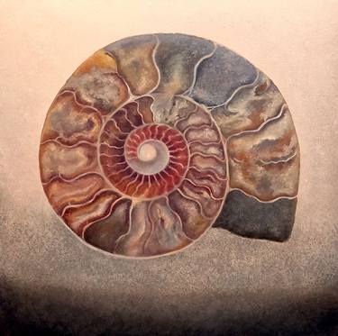 Ammonite d' Argent thumb