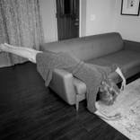 Collection Curators Picks: 100 Bestsellers