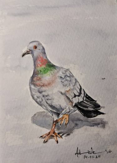Bird Series - Pigeon thumb
