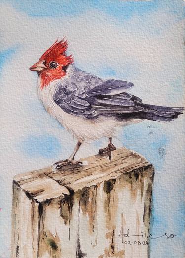 Bird Series - Red Crested Cardinal thumb