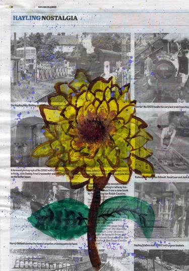 Sunflowers on News thumb