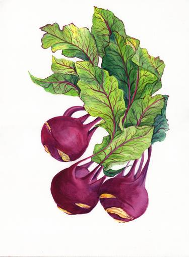 Purple Kohlrabi watercolor painting thumb