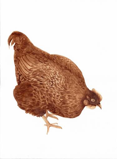 Red Chicken. Coffee painting thumb