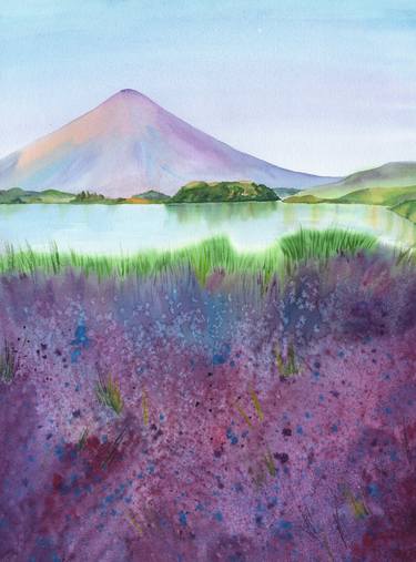Lavender fields of Japan thumb