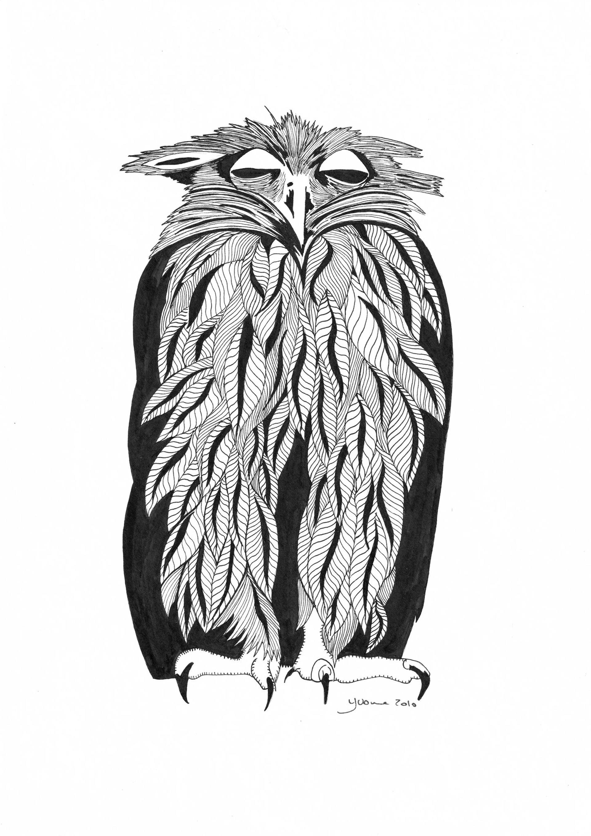black and white drawings of owls