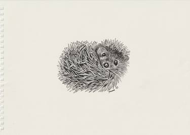 Print of Animal Drawings by Yvonne Kennedy