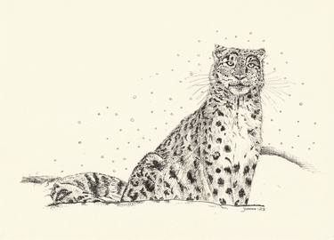 Print of Animal Drawings by Yvonne Kennedy