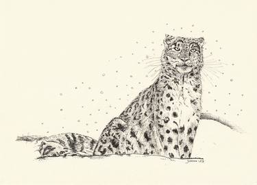 Original Fine Art Animal Drawings by Yvonne Kennedy