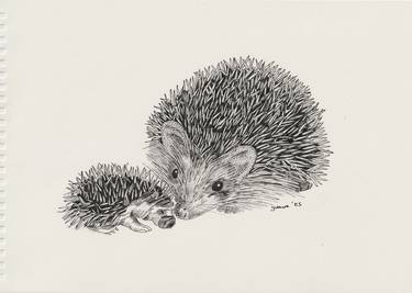 Hedgehog and baby thumb