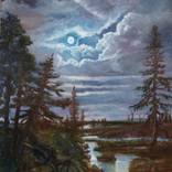 Rising Moon by Elizabeth C Grace