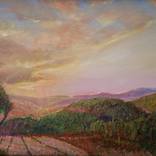 Spring in the Hills by Elizabeth C Grace