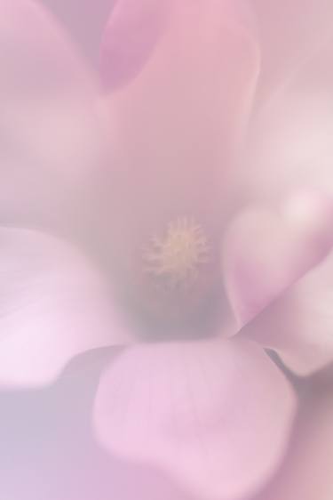 Original Fine Art Floral Photography by Marioly Vazquez