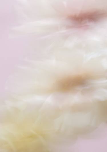 Original Abstract Floral Photography by Marioly Vazquez