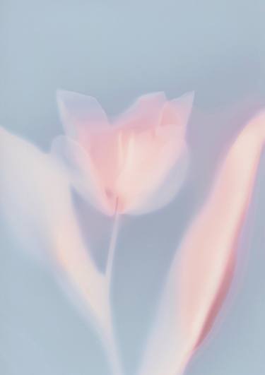 Original Abstract Floral Photography by Marioly Vazquez