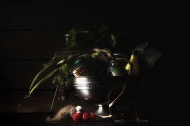 Original Still Life Photography by Helena Zanting