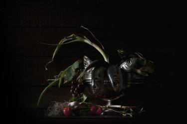 Original Still Life Photography by Helena Zanting