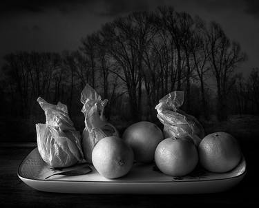 Original Still Life Photography by Lisa Miller