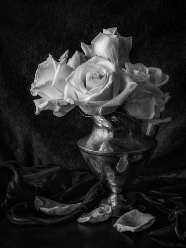 Original Still Life Photography by Lisa Miller