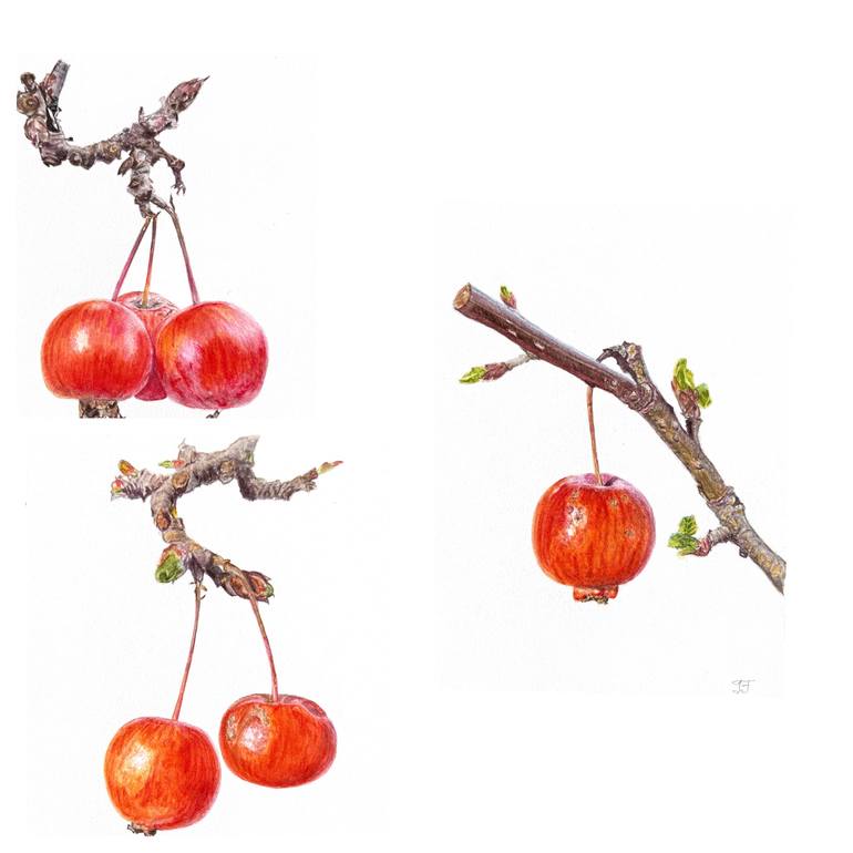 Original Contemporary Botanic Painting by Inessa Falina