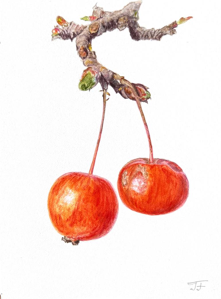 Original Contemporary Botanic Painting by Inessa Falina
