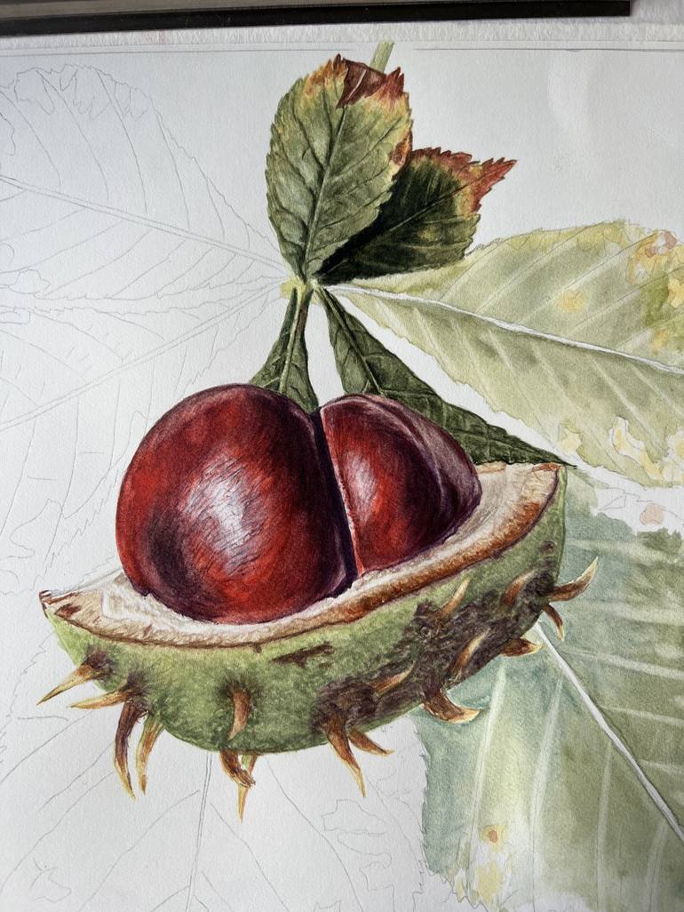 Original Botanic Painting by Inessa Falina
