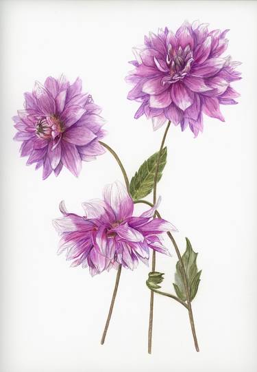 Original Contemporary Botanic Painting by Inessa Falina