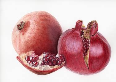 Original Contemporary Botanic Painting by Inessa Falina