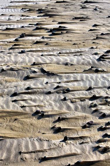 Original Beach Photography by Bill Baillie