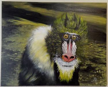 Original Animal Paintings by Susan Maithya