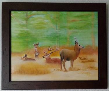Original Animal Paintings by Susan Maithya