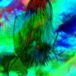 Collection Abstract