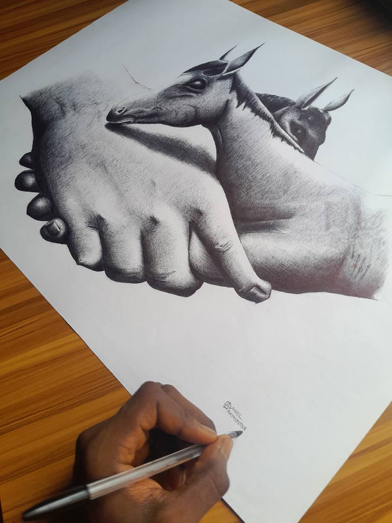 Original Black & White Horse Drawing by Daniel Akpojotor