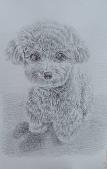 Original Portraiture Dogs Drawings by Oksana Zimmer